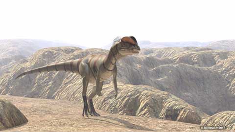 Dilophosaurus animation 3D